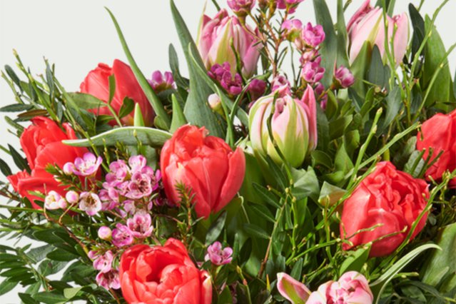 Topbloemen x Artsen zonder Grenzen