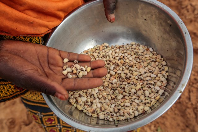 boeren in Nigeria