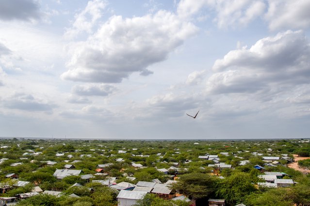 kenia dadaab