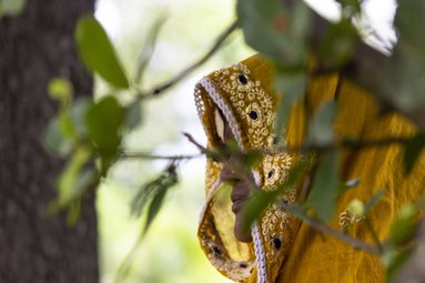 Artsen zonder Grenzen biedt medische noodhulp in conflictgebieden, bij natuurrampen en uitbraken van dodelijke ziektes.