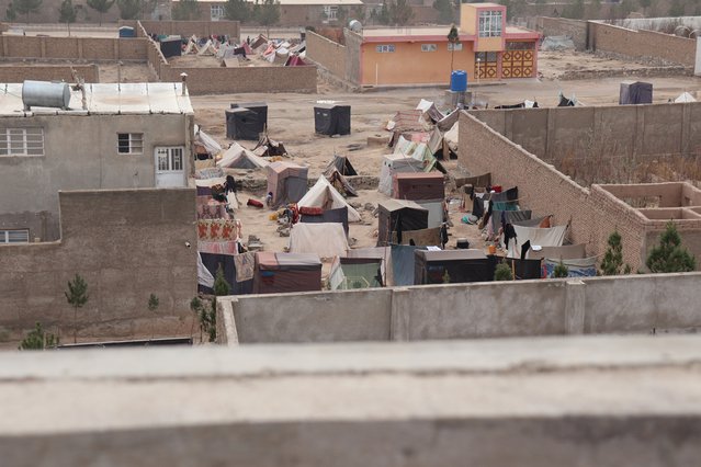Herat, Afghanistan | Artsen zonder Grenzen