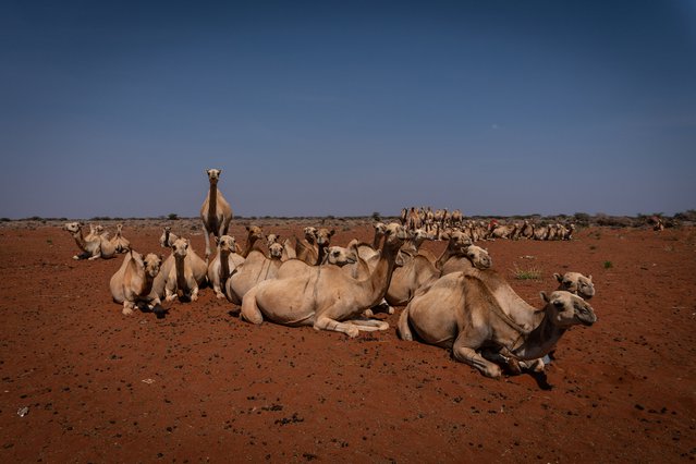 Ethiopie | Artsen zonder Grenzen