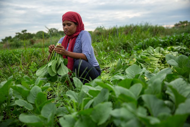 Rohingya in Maleisië | Artsen zonder Grenzen