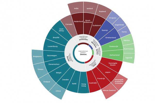 Organogram MSF internationaal