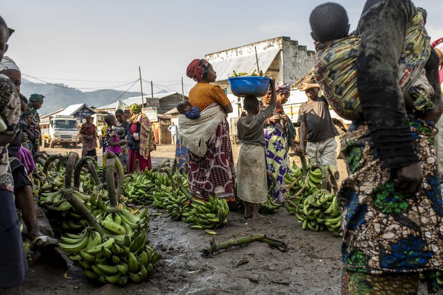 Humanitaire crisis in Noord-Kivu